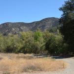 Paramount_104 (October 18, 2014)